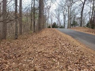 Lot 131 Adair Drive