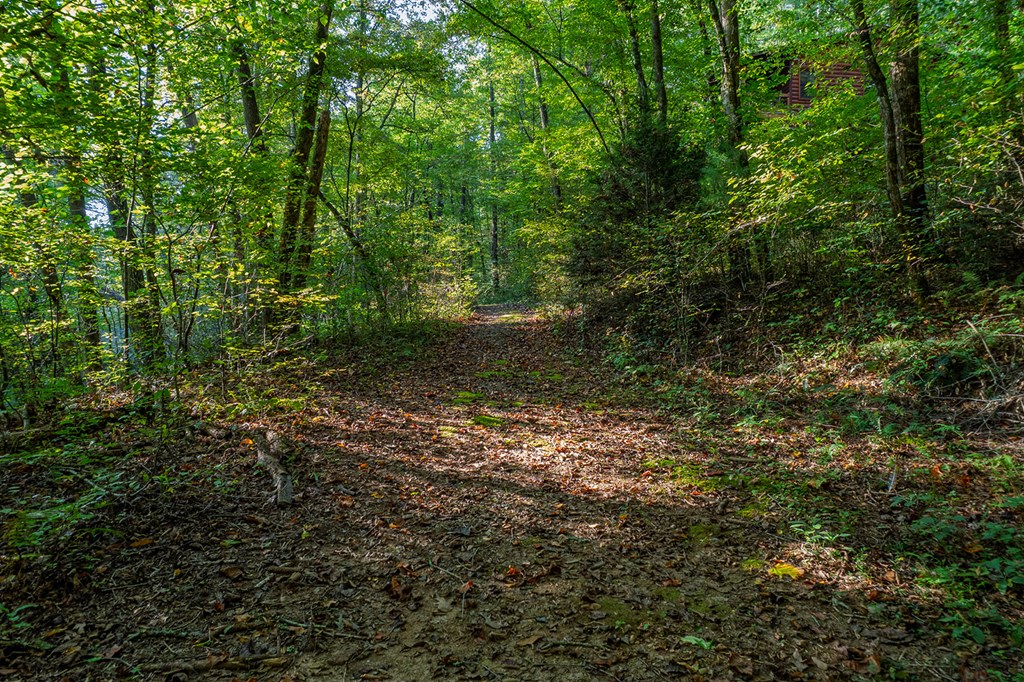 4527 Gates Chapel Road