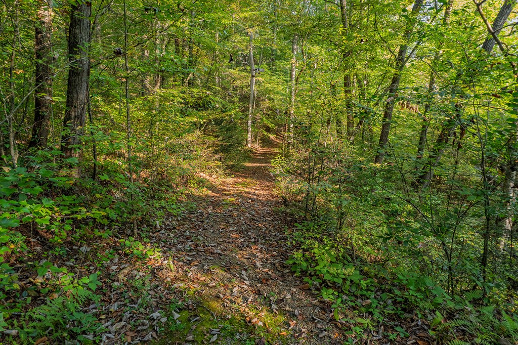 4527 Gates Chapel Road