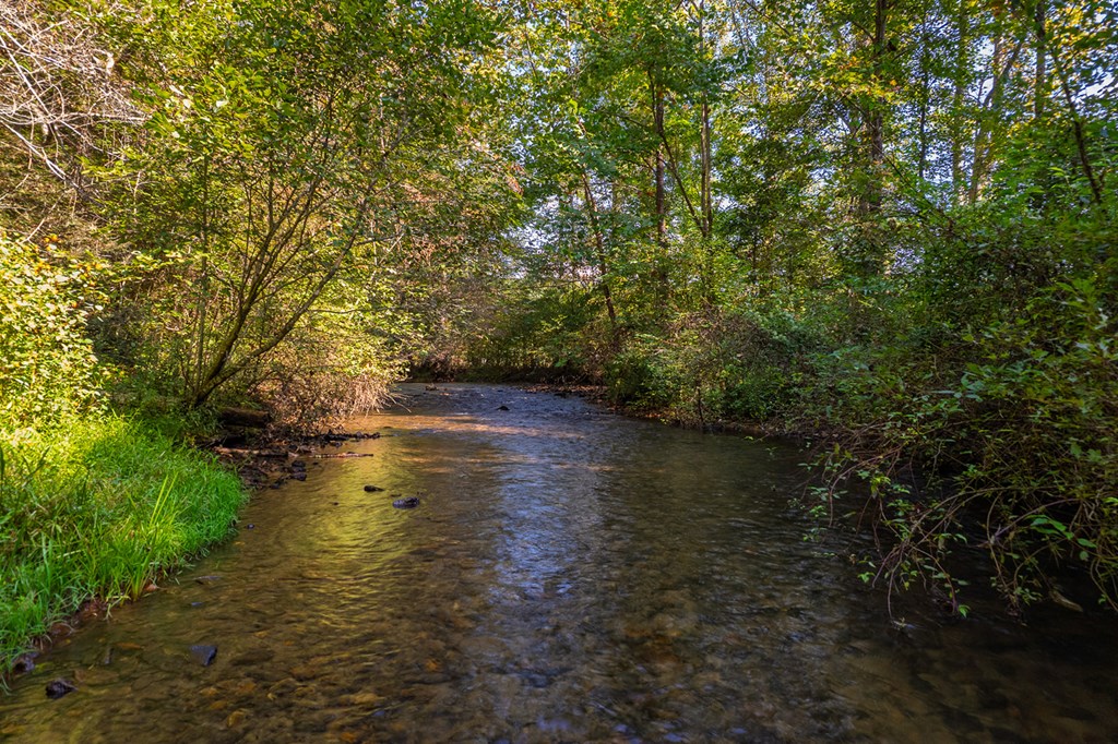 4527 Gates Chapel Road