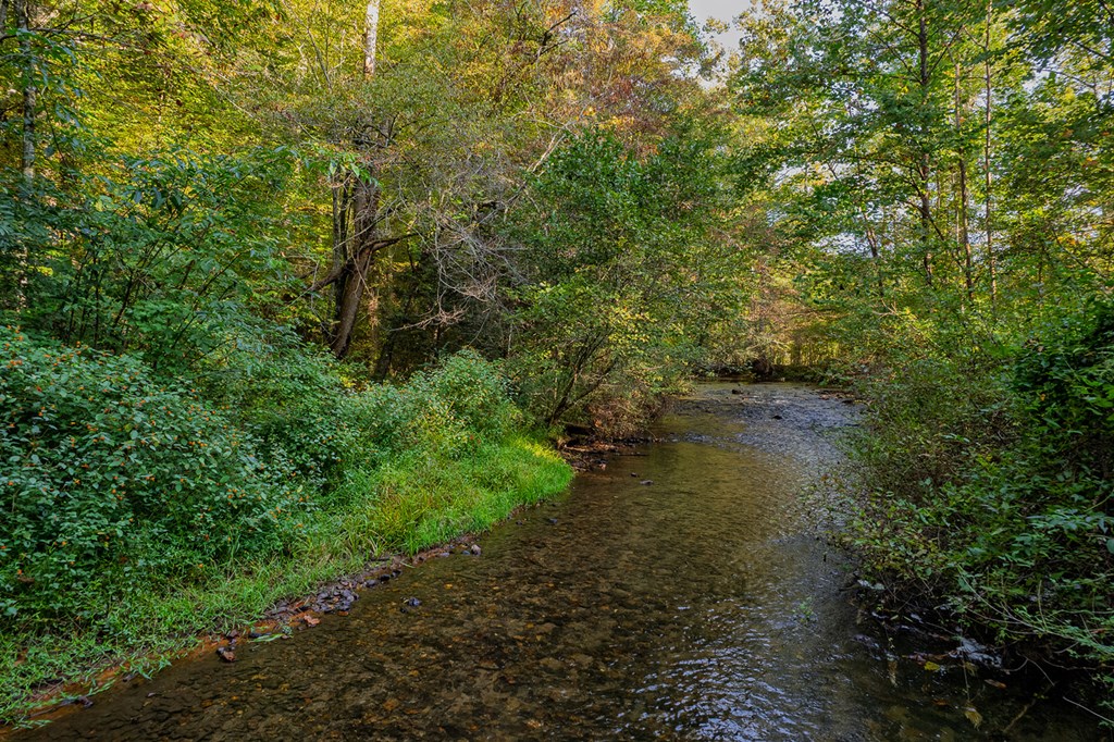 4527 Gates Chapel Road