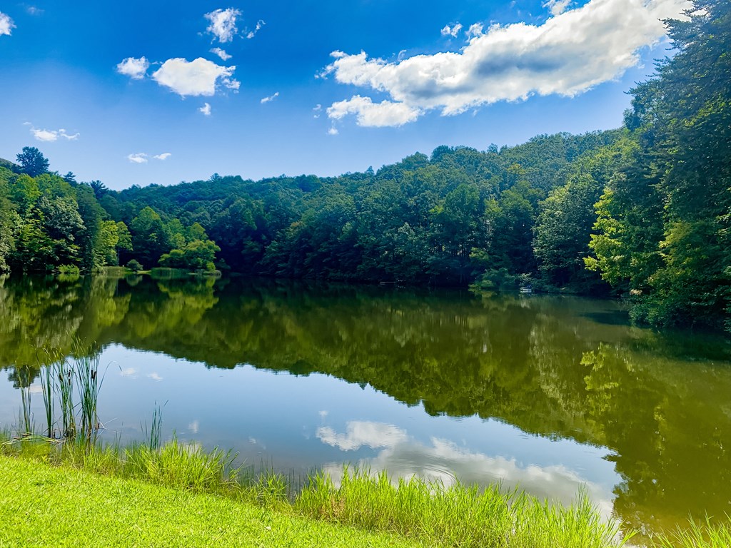 LT J350 Mountain View Court