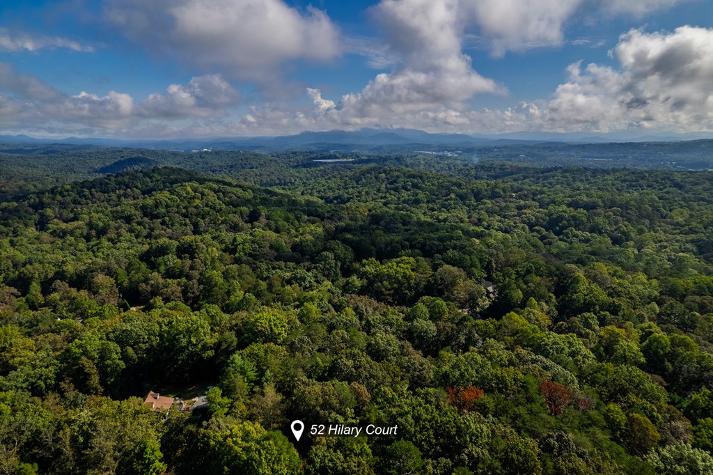 52 Hilary Court