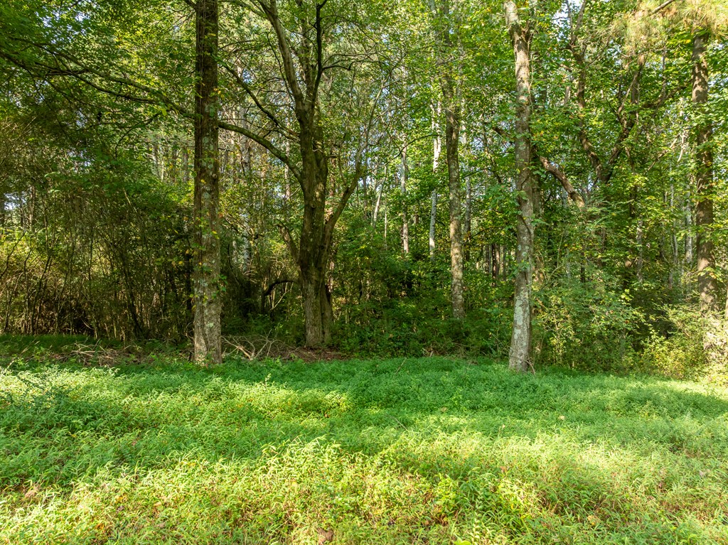 Lot 4 Highpoint Ridge Road