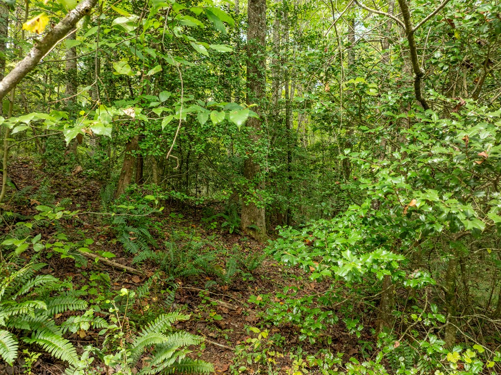 Lot 6 Highpoint Ridge Road