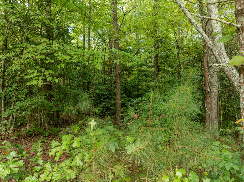 Lot 6 Highpoint Ridge Road