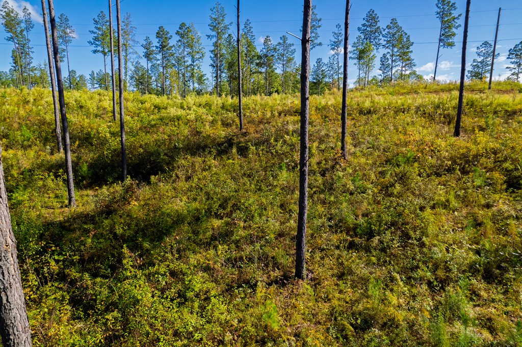 Lot 140 River Reach Lane