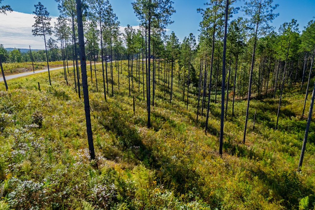 Lot 140 River Reach Lane