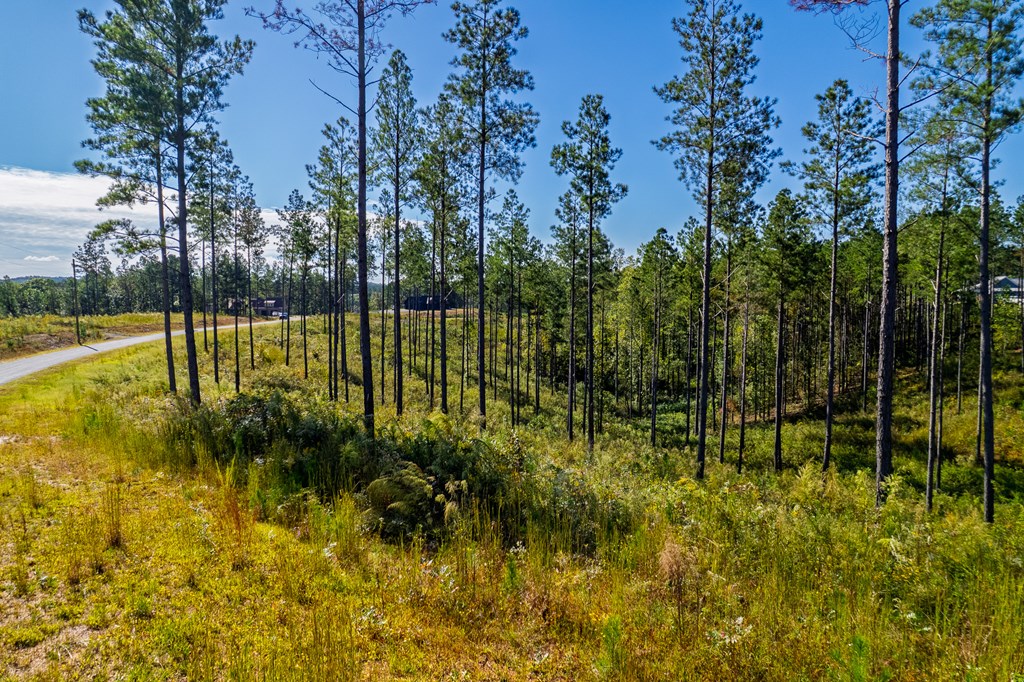 Lot 140 River Reach Lane