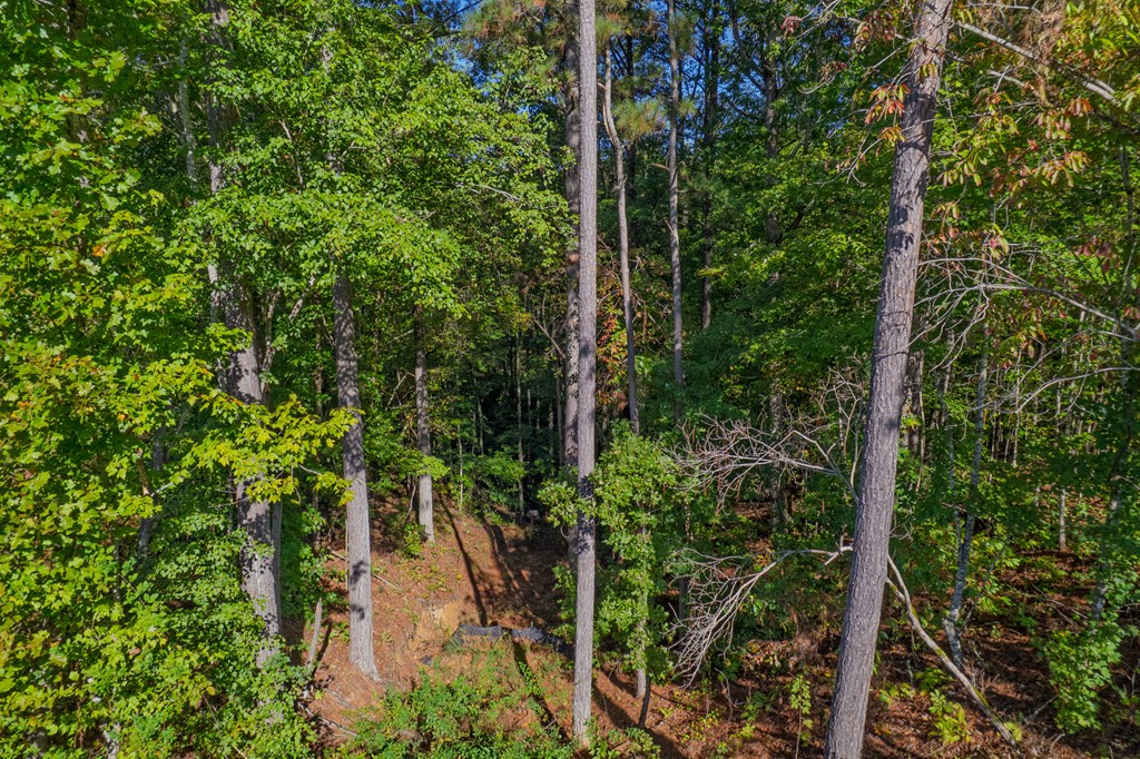 Lot 52 Royal Wulff Avenue