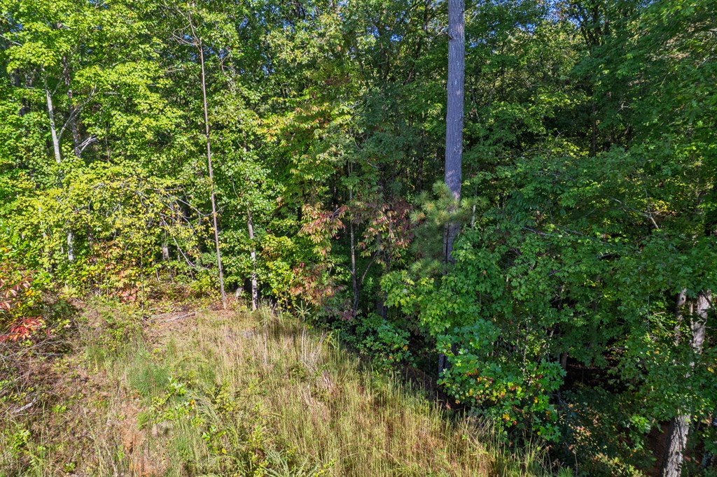 Lot 52 Royal Wulff Avenue