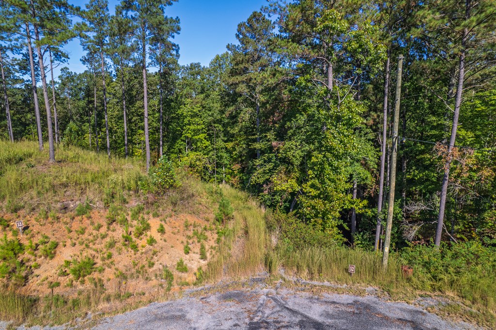 Lot 52 Royal Wulff Avenue