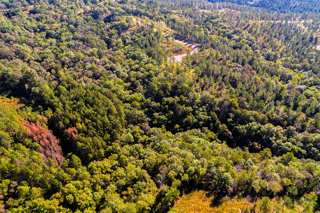 Lot 52 Royal Wulff Avenue