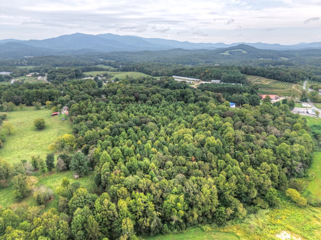 3214 Lower Cartecay Road