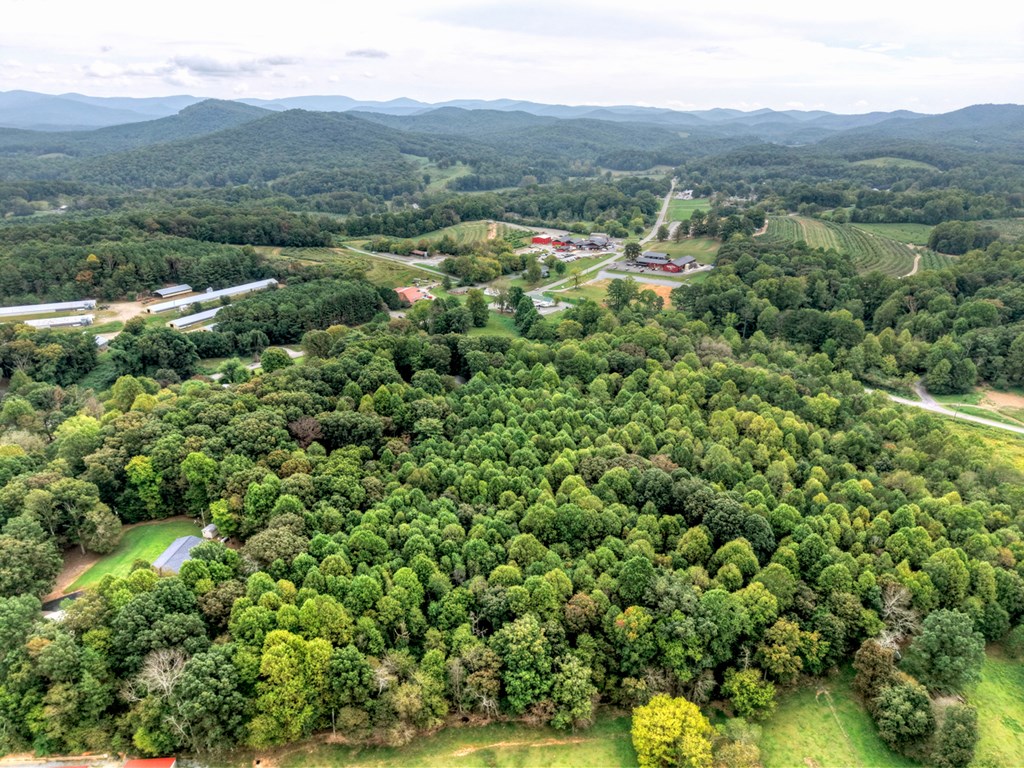 3214 Lower Cartecay Road