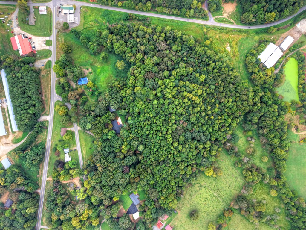 3214 Lower Cartecay Road