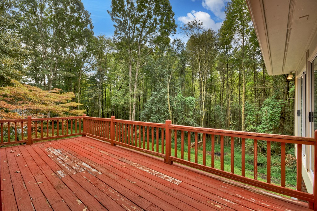 3214 Lower Cartecay Road