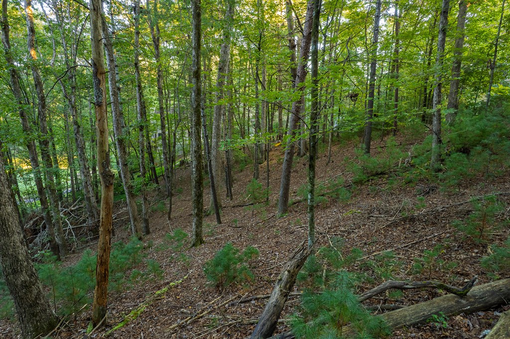 228 Toccoa Court