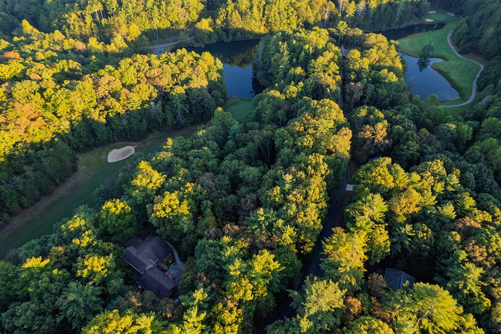 228 Toccoa Court