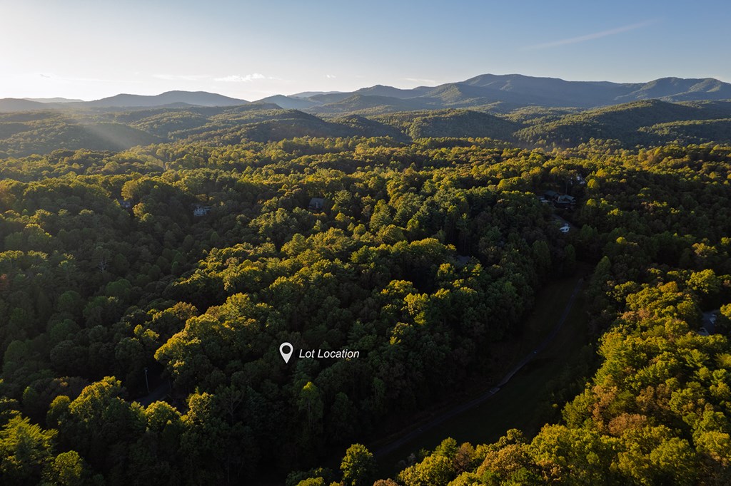 228 Toccoa Court