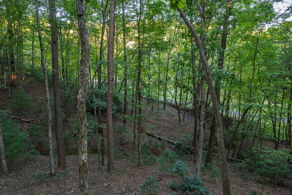 228 Toccoa Court