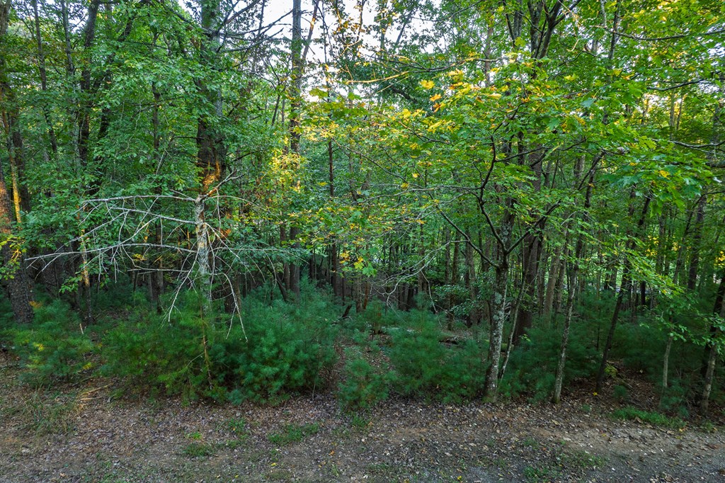 228 Toccoa Court