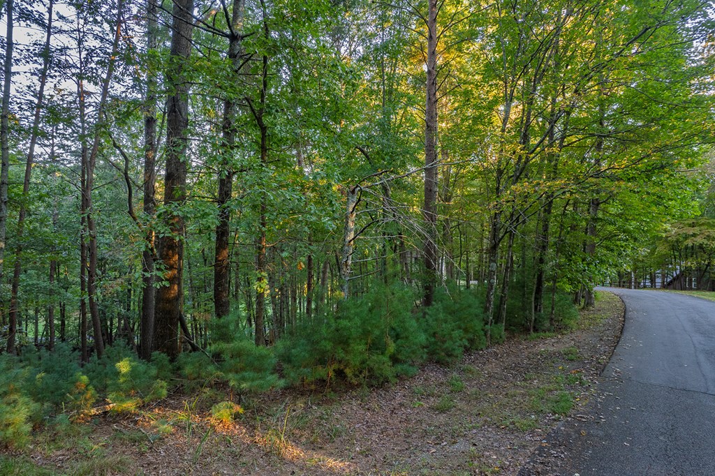 228 Toccoa Court