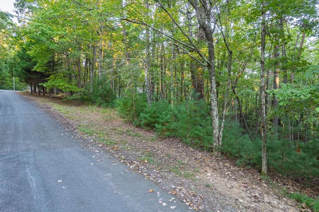 228 Toccoa Court
