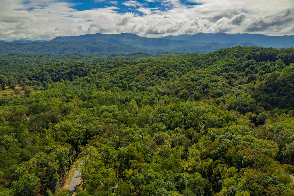 100 Crystal Oliver Lane