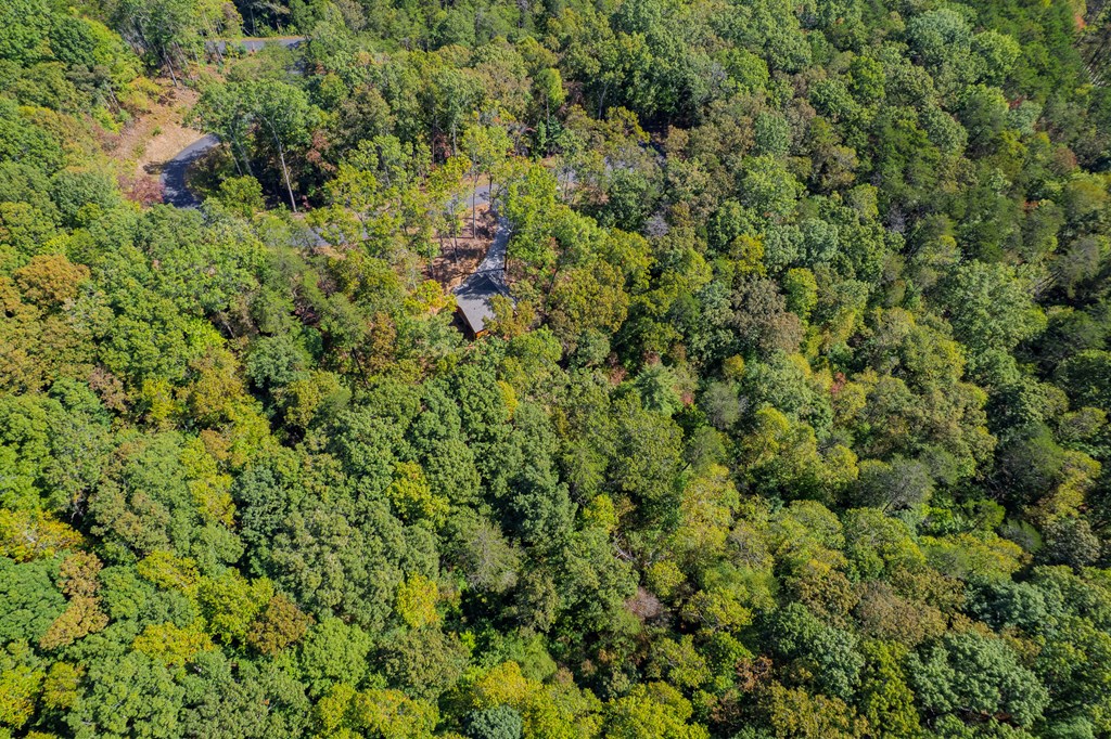 100 Crystal Oliver Lane