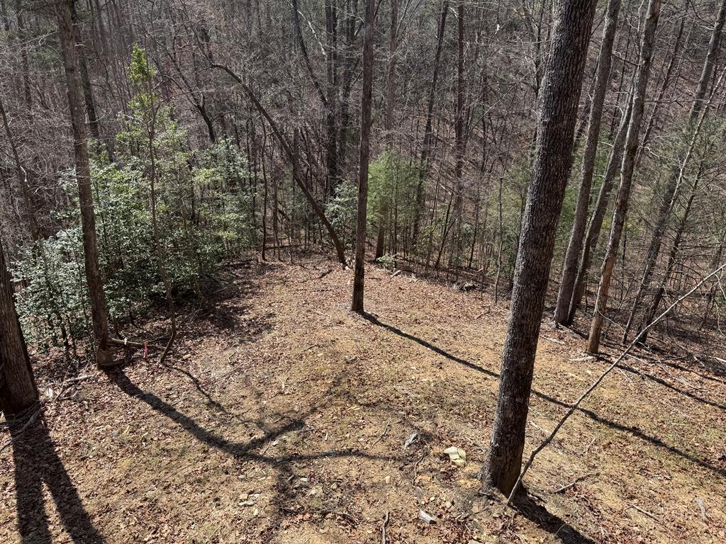 100 Crystal Oliver Lane