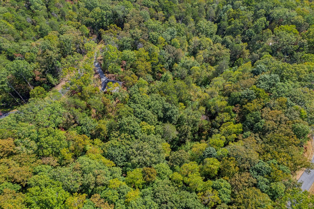 100 Crystal Oliver Lane