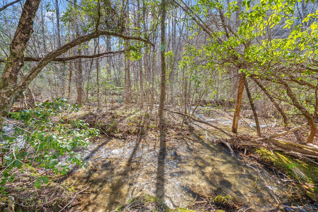 740 Little Rock Creek Road