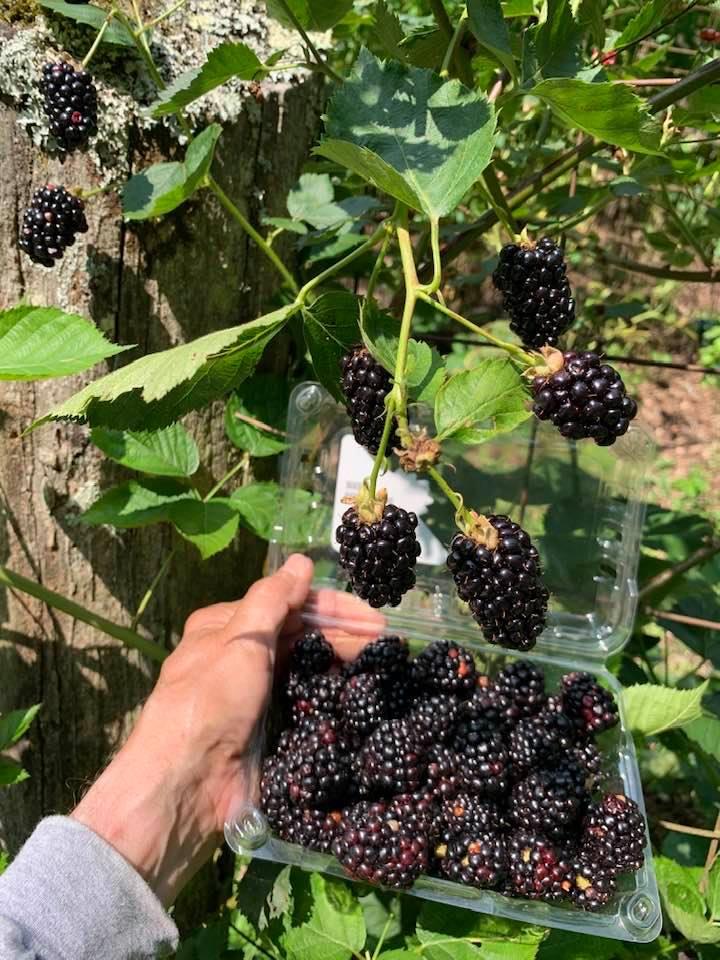 740 Little Rock Creek Road