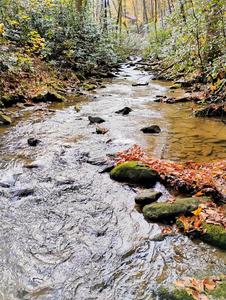 740 Little Rock Creek Road