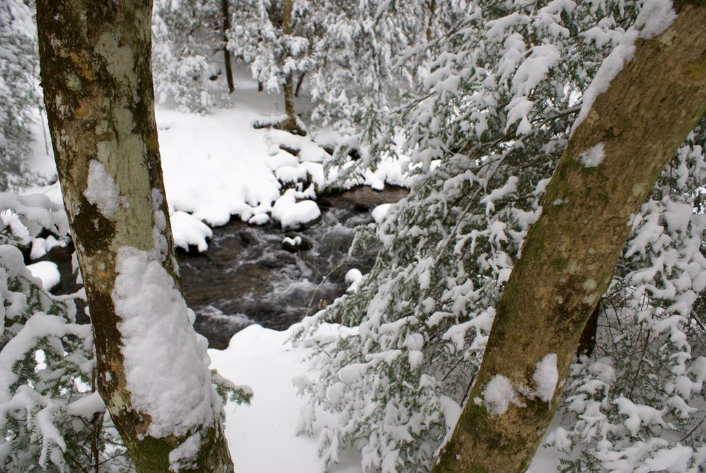 740 Little Rock Creek Road