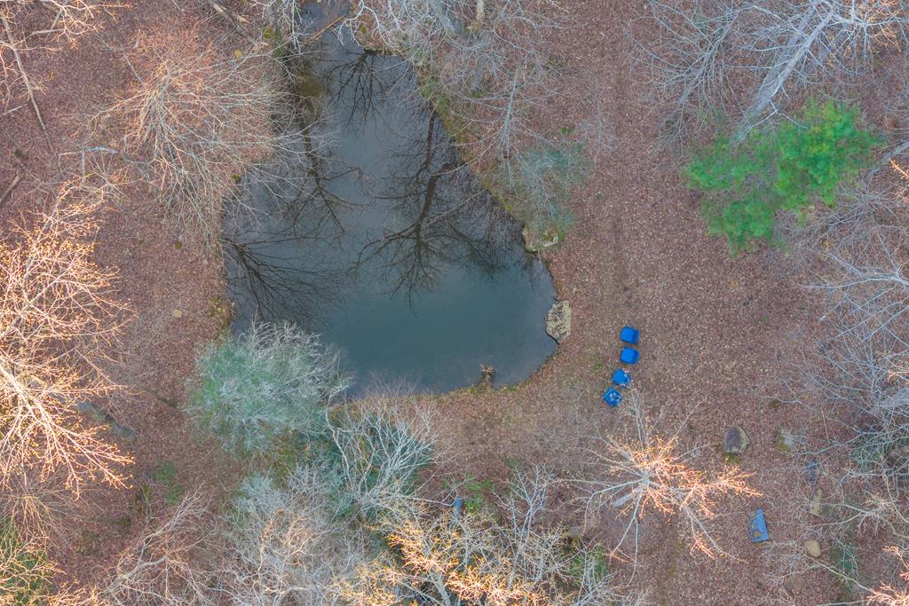 740 Little Rock Creek Road