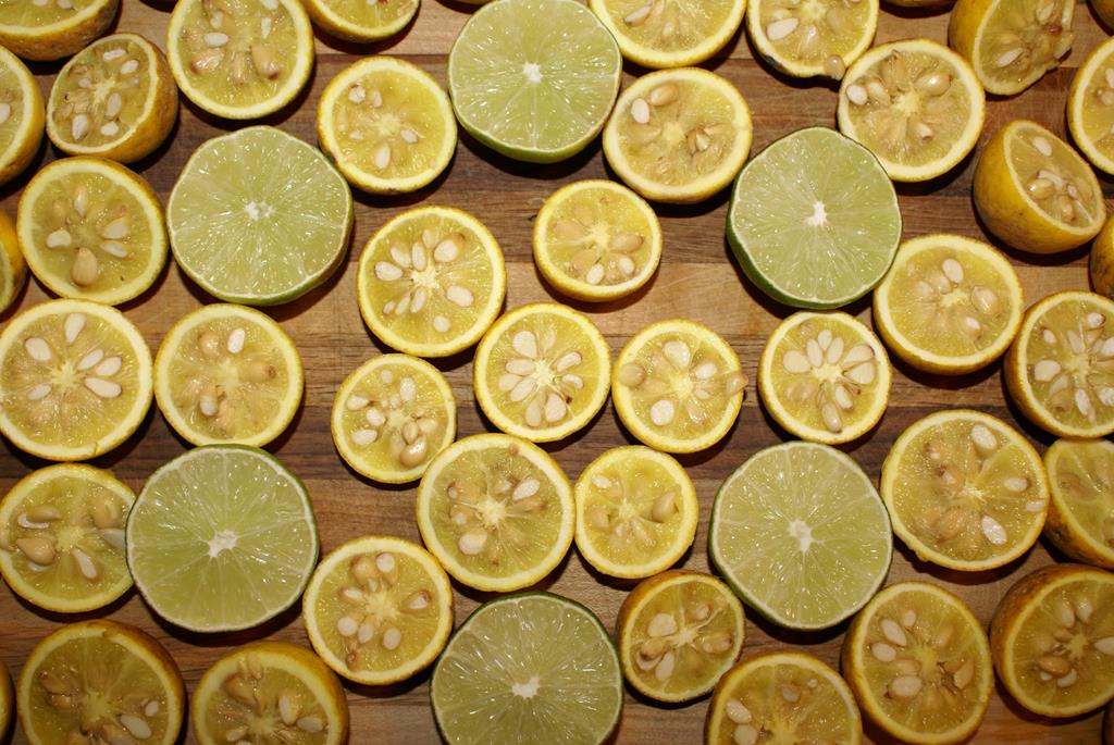 740 Little Rock Creek Road