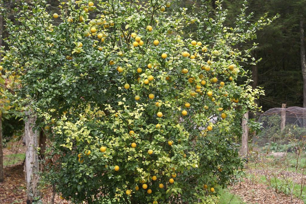 740 Little Rock Creek Road