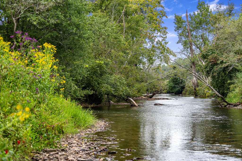 60 East Conasauga Creek