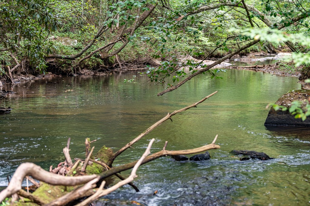 60 East Conasauga Creek