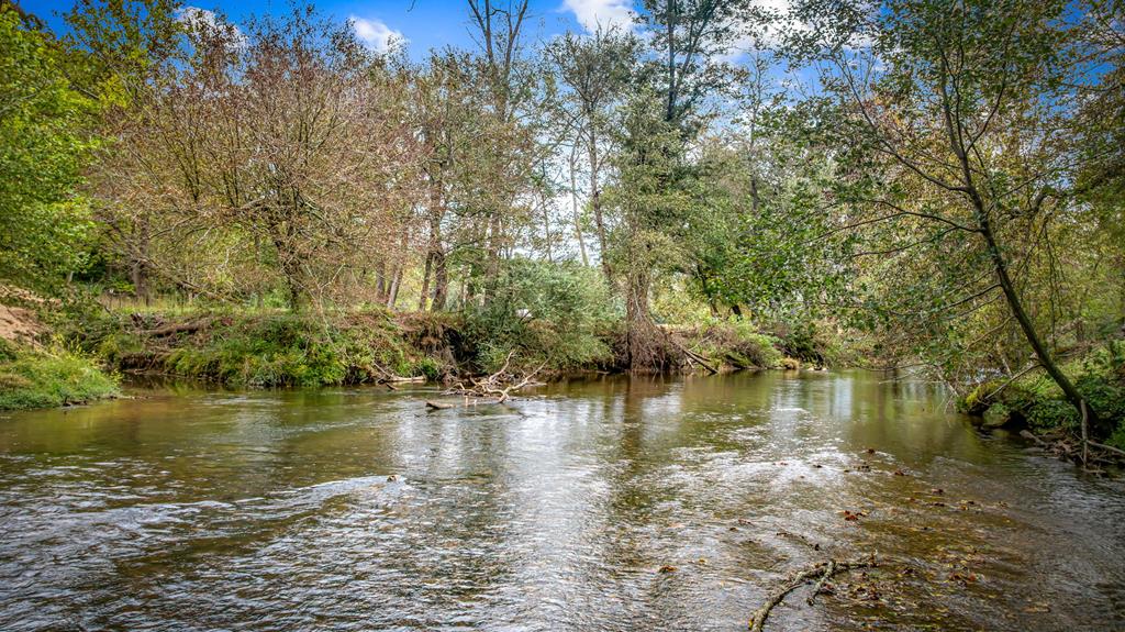 450 Cartecay River Run