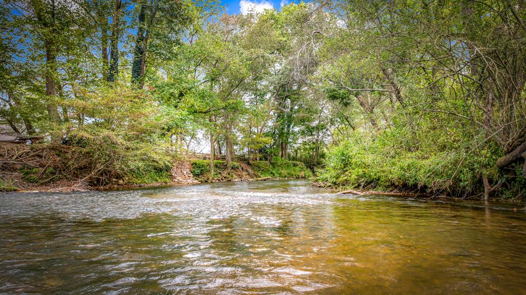 450 Cartecay River Run