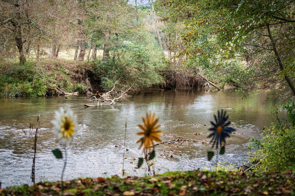 450 Cartecay River Run