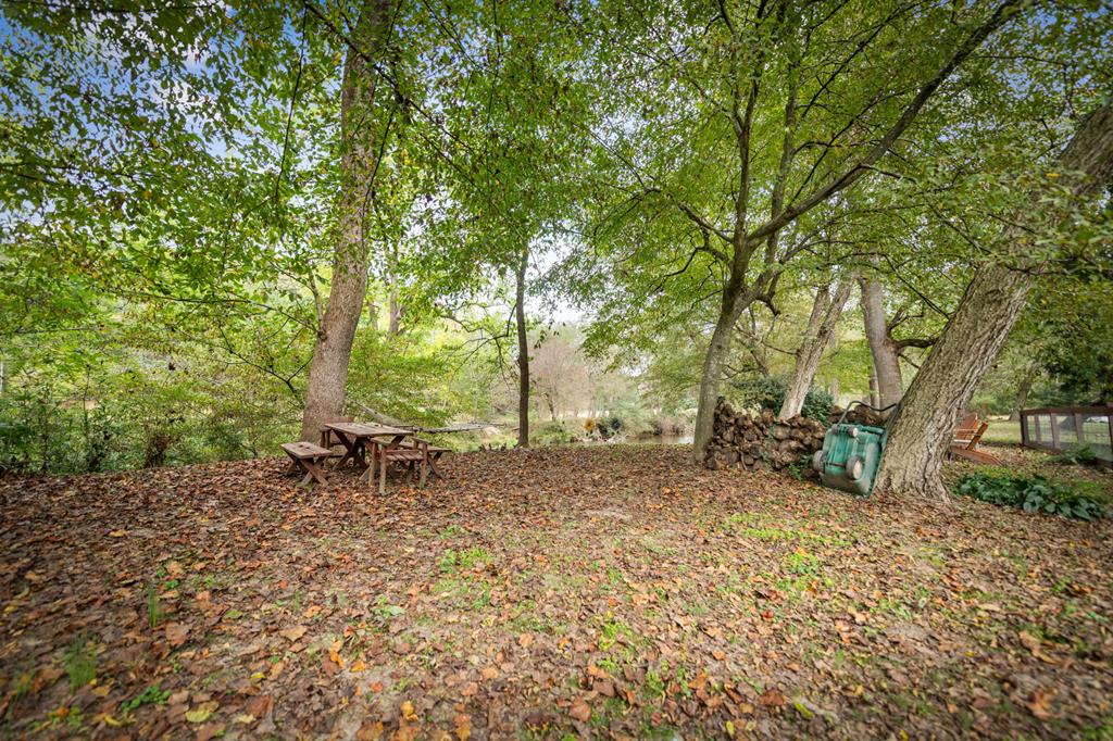 450 Cartecay River Run