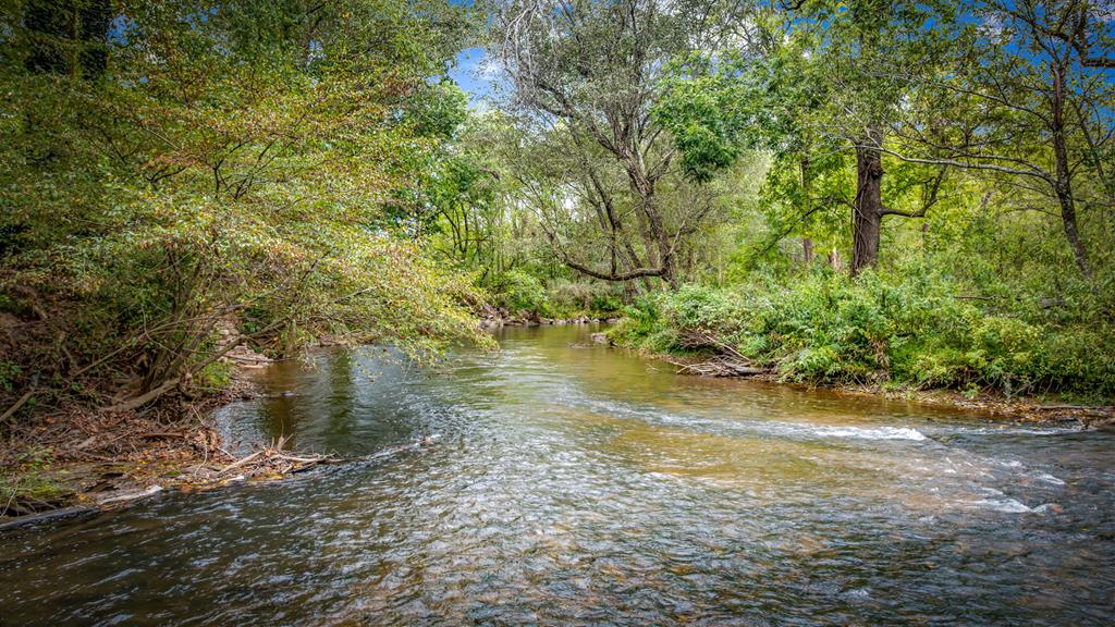 450 Cartecay River Run