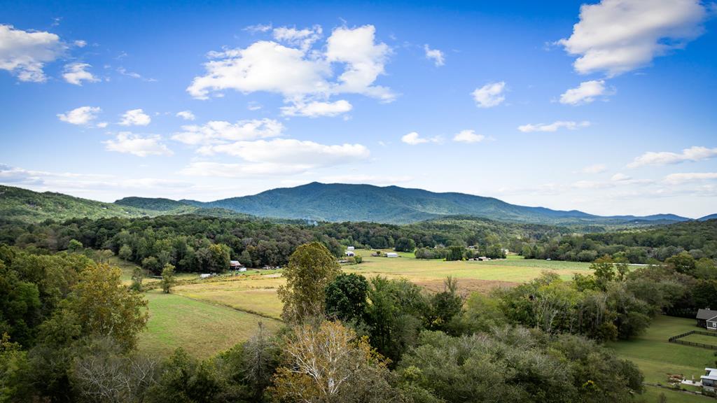 450 Cartecay River Run