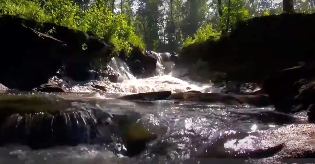174 Trailwood