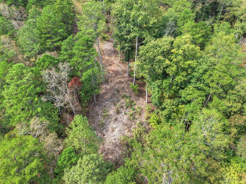 LT 269 River View Trail