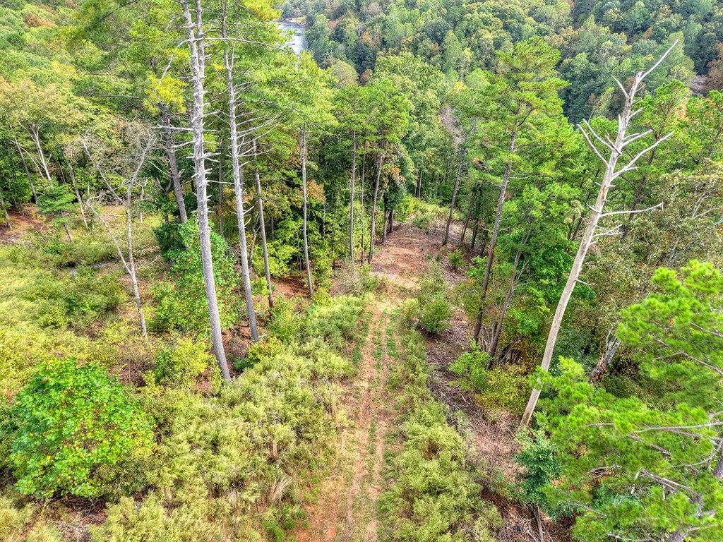 LT 269 River View Trail